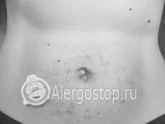 цитрусові