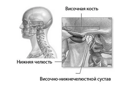 нижньощелепного