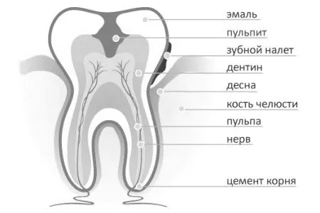 зубі
