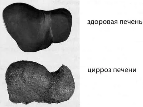 боржомі