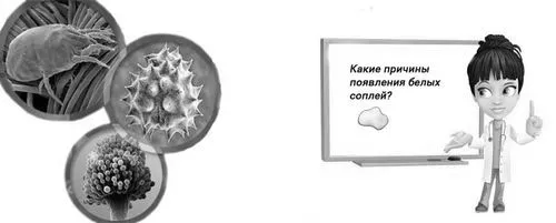 білі