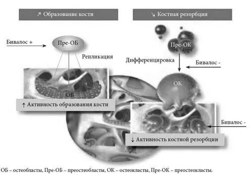 інструкція
