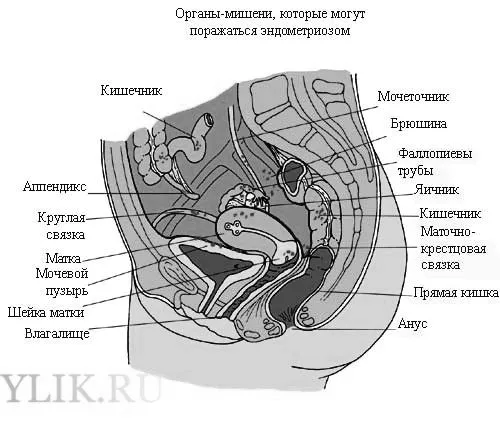 відгуки