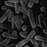 лікування