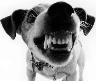 лікування