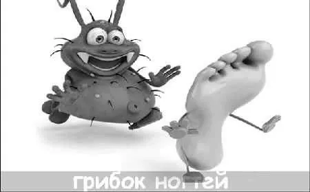 грибок
