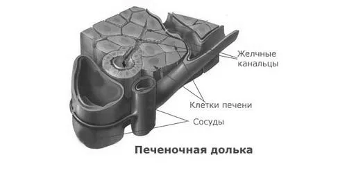 як лікувати печінку сорбітом