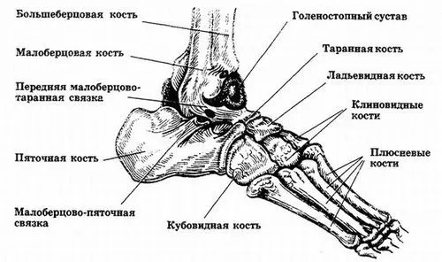деформуючий артроз гомілковостопного суглоба