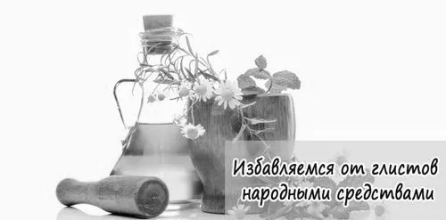 глистів
