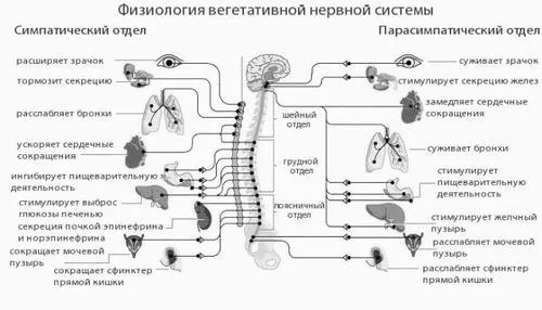 народними