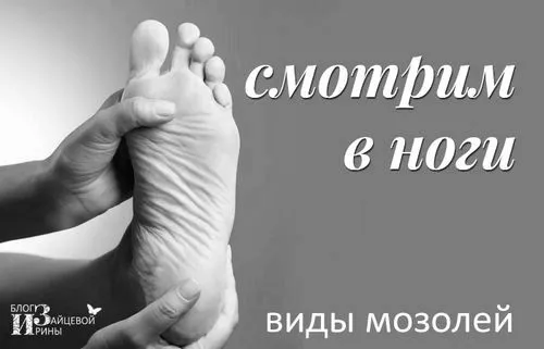 домашніх