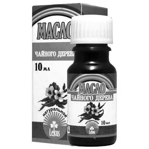 грибок