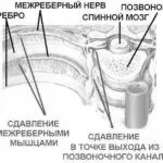 домашніх