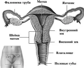 як лікувати дріжджовий кольпіт