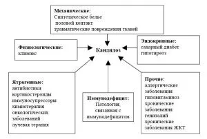 причини