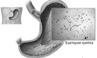 кишковий