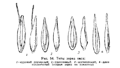 лікування