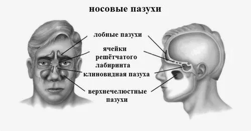 кіста
