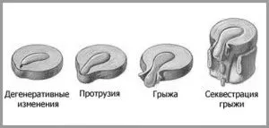 домашніх