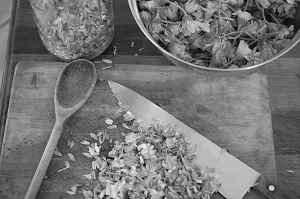 молочниця лікування народними засобами сода