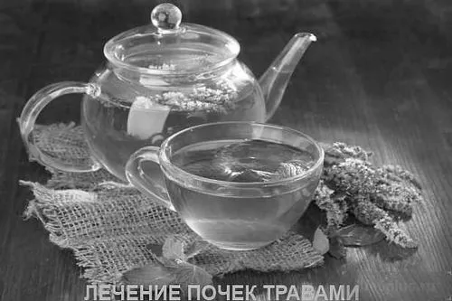 Лікуємо нирки: симптоми, захворювання, народне лікування сечокам'яна хвороба