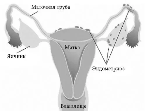 гормонів