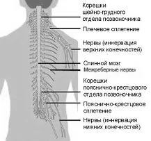 невралгія