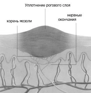 народні