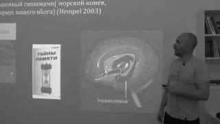 відео