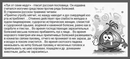 столова