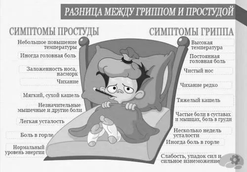 застуди