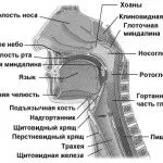 причини