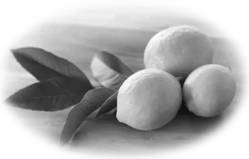 печінки