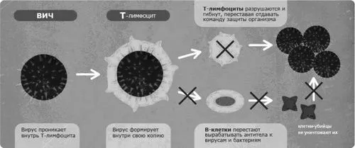 Перші симптоми вич перші