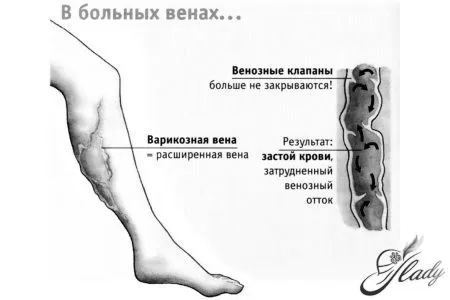 глибоких