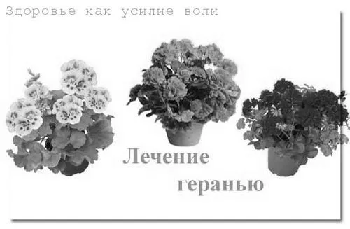 домашніх