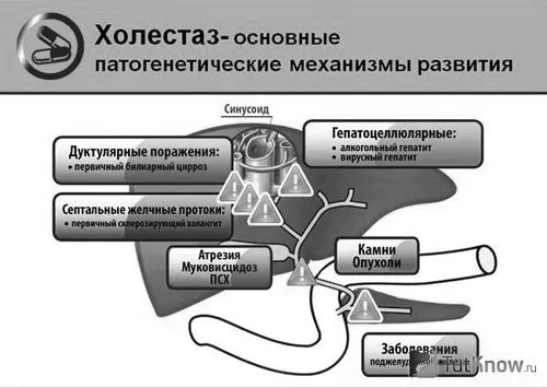 дітей