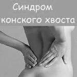 хребта
