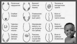 язиці