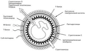 стрептодермія