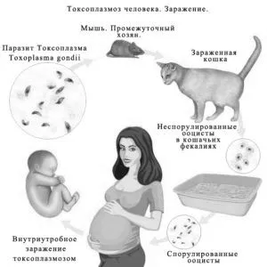 засоби