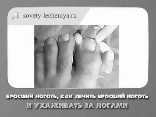 врослий