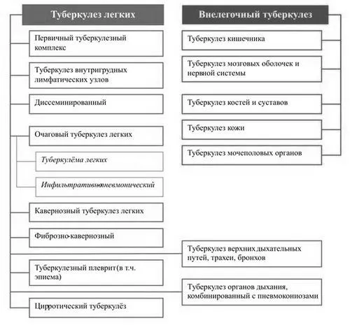 туберкульоз