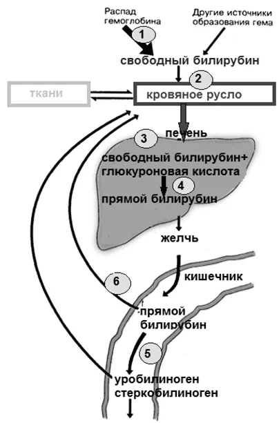 причини