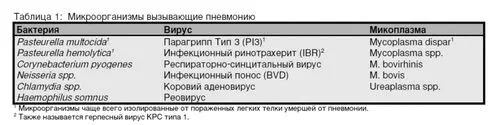 патологія
