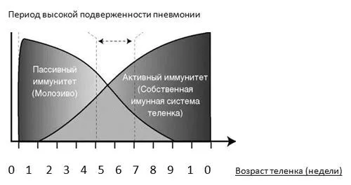 етіологія