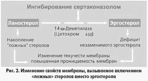 наслідок