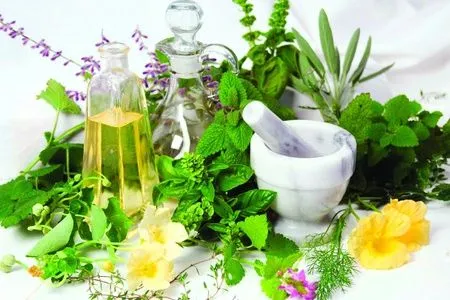 Листя хрону при остеохондрозі як лікувати спину хріном