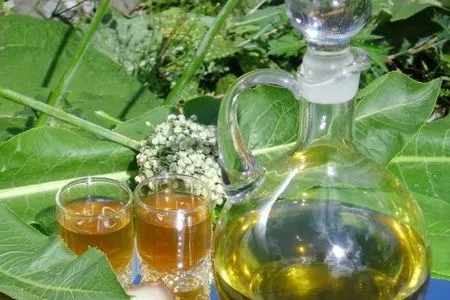 Листя хрону при остеохондрозі як лікувати спину хріном