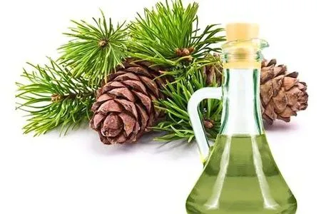 Листя хрону при остеохондрозі як лікувати спину хріном